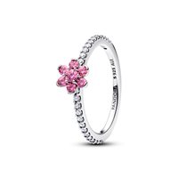 Anello Pandora Donna Stone Cluster in Argento Cubic Zirconia